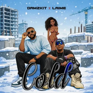 Damzkit – COLD ft. Laime Artwork