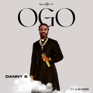 Danny S – Ogo Artwork