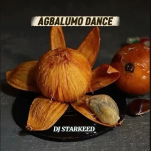 Dj Starkeed – Agbalumo Dance Artwork