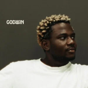 Godwin – African Queen Artwork