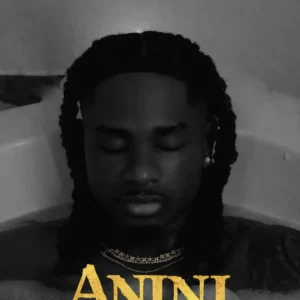 Lil Kesh – Anini (Thief) Artwork