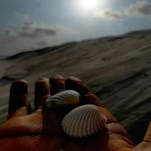 Meanboy DC – Dreaming Artwork