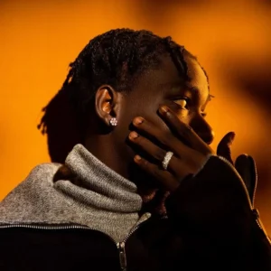 Muyeez – 17 Artwork