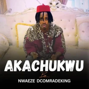 NWAEZE DCOMRADEKING – AKACHUKWU Artwork