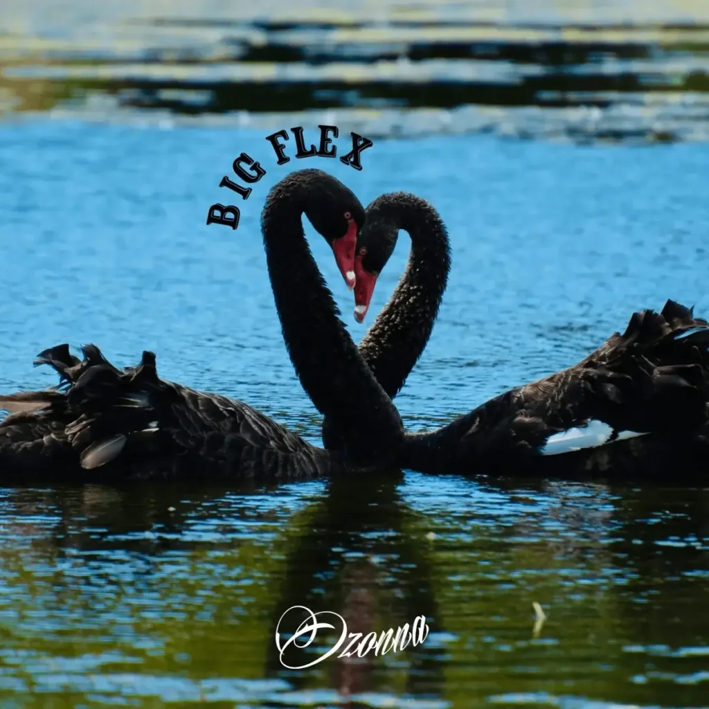 Ozonna – Big Flex Artwork