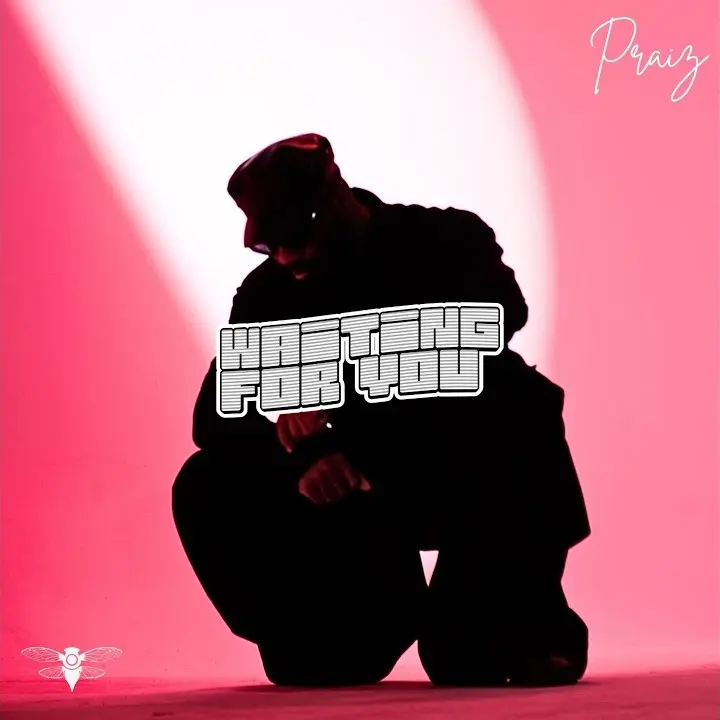 Waiting For You mp3 by Praiz