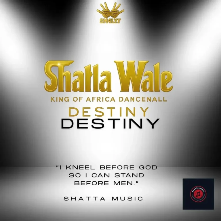 Destiny mp3 by SHATTA WALE
