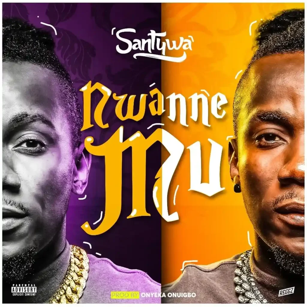 Nwanne Mu mp3 by Santywa