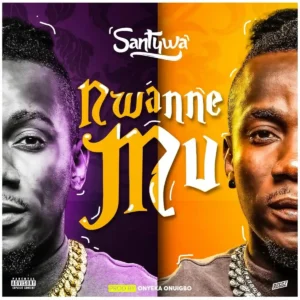 Santywa – Nwanne Mu Artwork