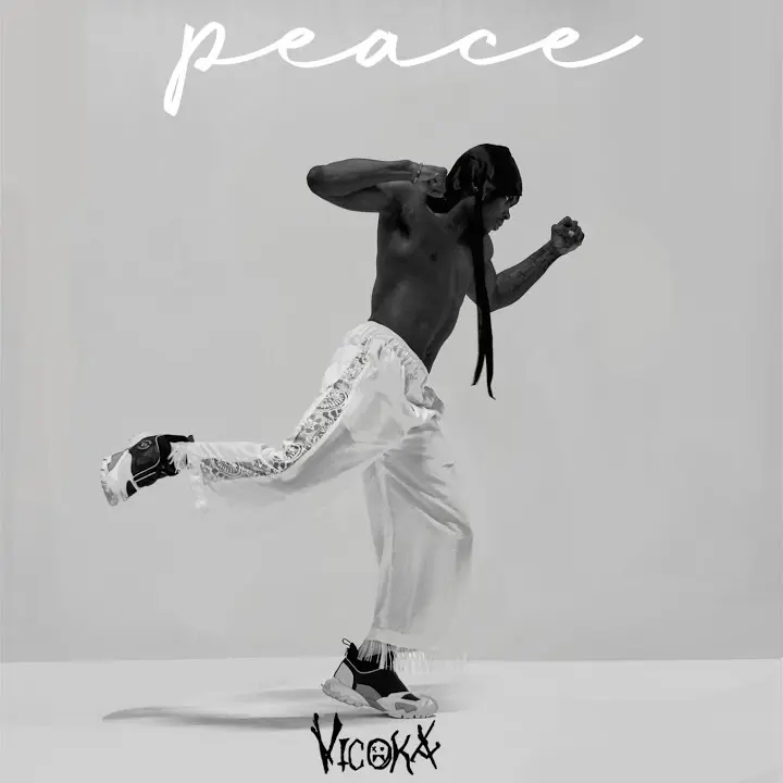 PEACE mp3 by Vicoka