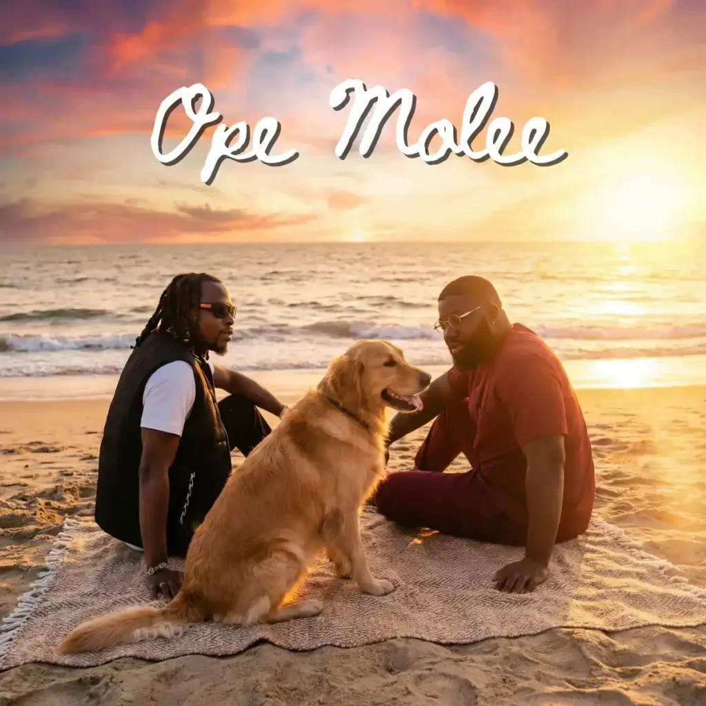 Ope Molee mp3 by ePianoh