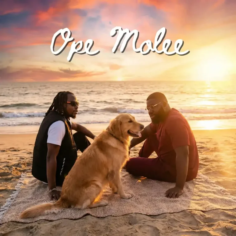 Ope Molee mp3 by ePianoh