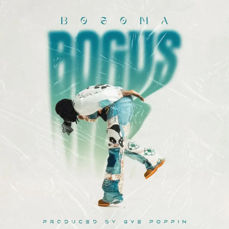 Bogus mp3 by Bosoma