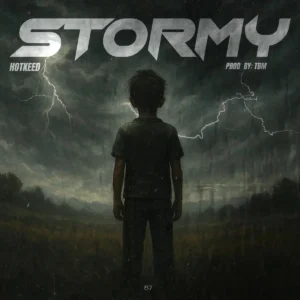 Hotkeed – Stormy Artwork