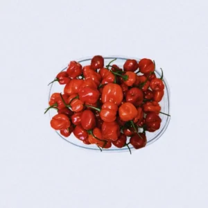 Nae – ATA RODO Artwork