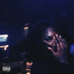 FOLA – fine ting (fine $hit) Artwork