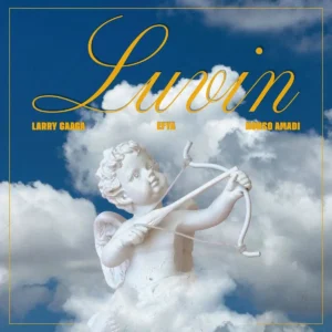 Larry Gaaga – Luvin Artwork
