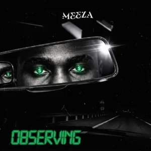 Meeza – OBSERVING Artwork