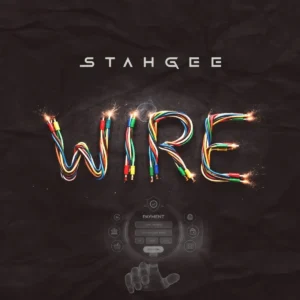 Stahgee – Wire Artwork