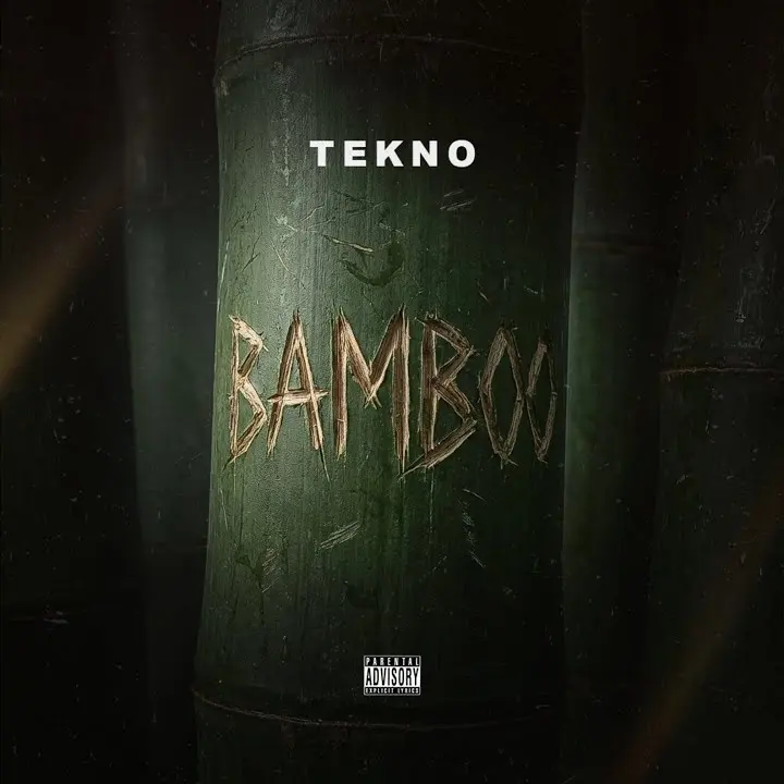 Bamboo mp3 by Tekno