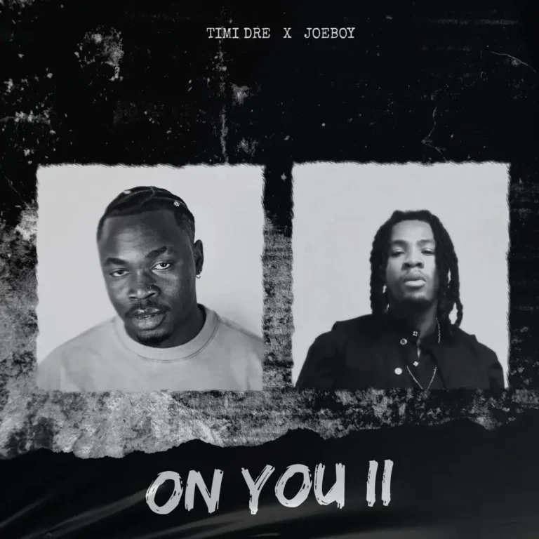 ON YOU (II) mp3 by Timi Dre feat. Joeboy