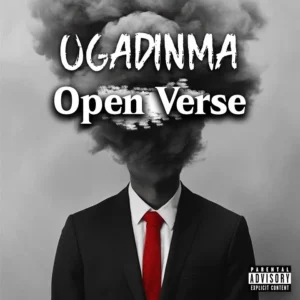 goodyarc – Ogadinma Mr Smart Artwork