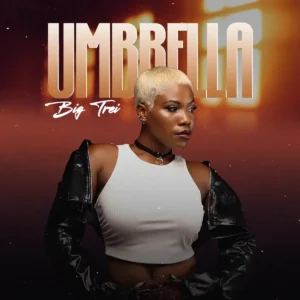 Big Trei – Umbrella Artwork