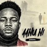 Bisimanuel – Aanu Ni Artwork