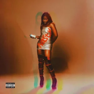 Fimi – Nasty Artwork