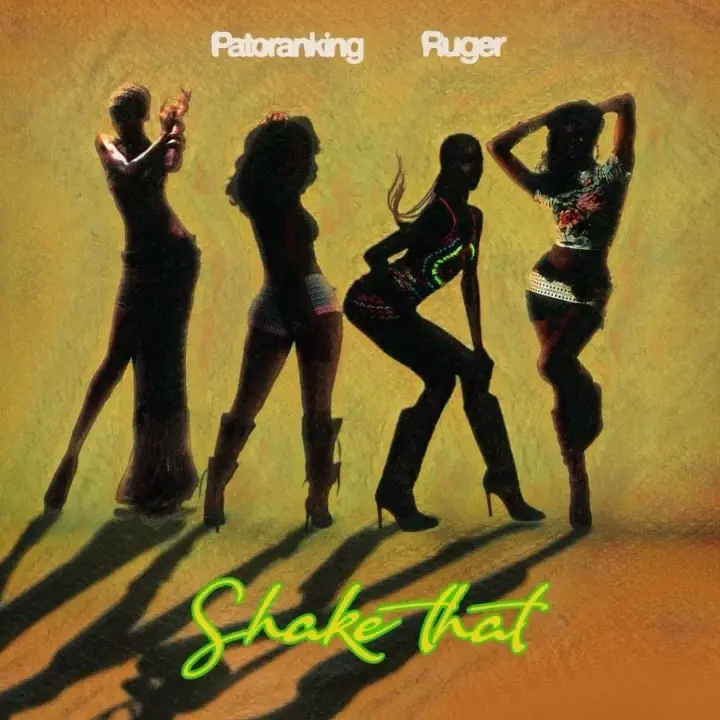 Shake That mp3 by Patoranking feat. Ruger