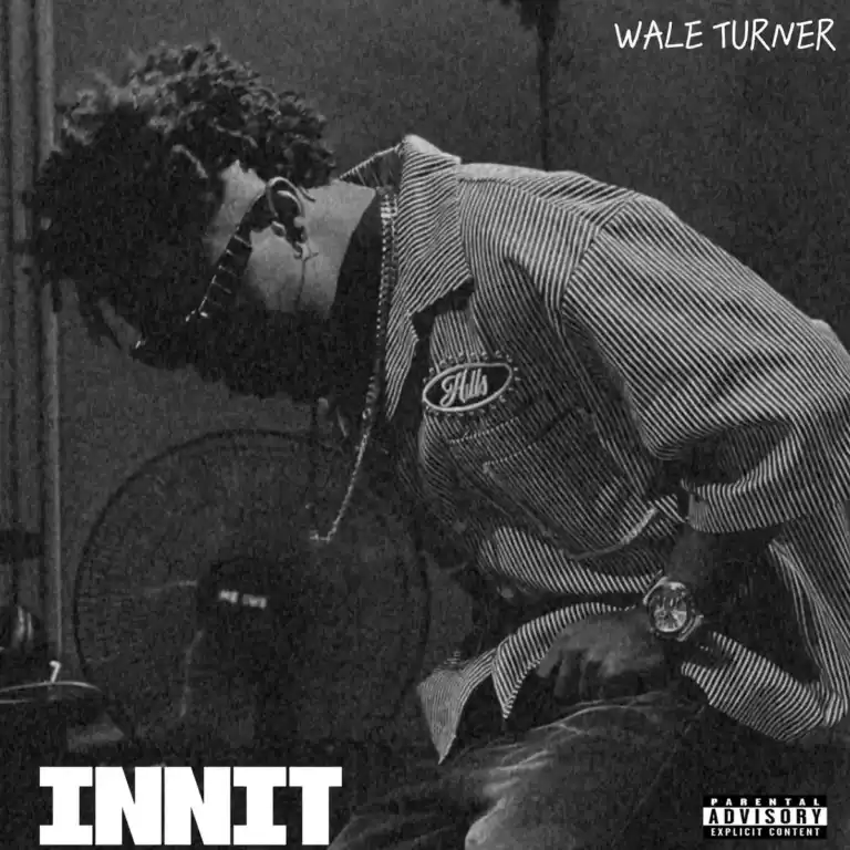 Innit mp3 by Wale Turner