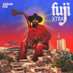 Adekunle Gold – Life Of The Faaji Artwork