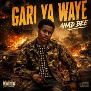 ANAD BEE – BEEGARI YA WAYE (soldiers) Artwork