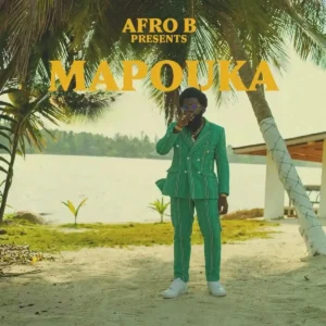 Afro B – MAPOUKA Artwork