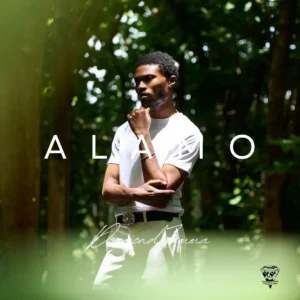 Diamond Jimma – Alamo Artwork