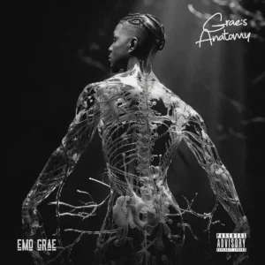 EMO Grae – Combine Artwork