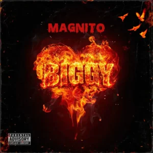 Magnito – Biggy Artwork