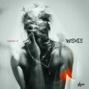 Paddy K – Wishes Artwork