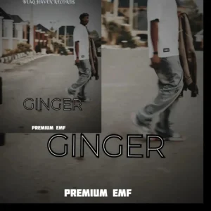 Premium Emf – Ginger Artwork