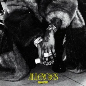 Shallipopi – Allergies Artwork