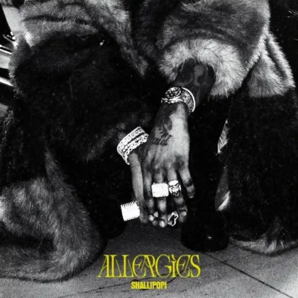 Shallipopi – Allergies Artwork