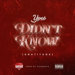 Ypee – Didn’t Know (Gratitude) Artwork