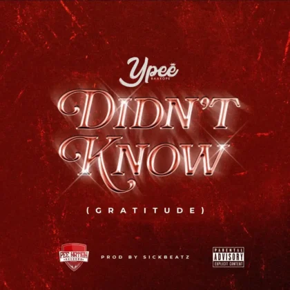Ypee – Didn’t Know (Gratitude) Artwork