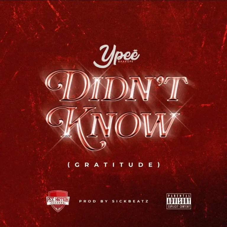 Didn’t Know (Gratitude) mp3 by Ypee