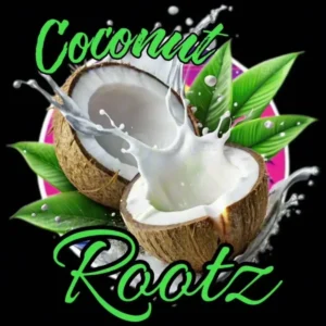 Coconut Rootz – My Everything Artwork