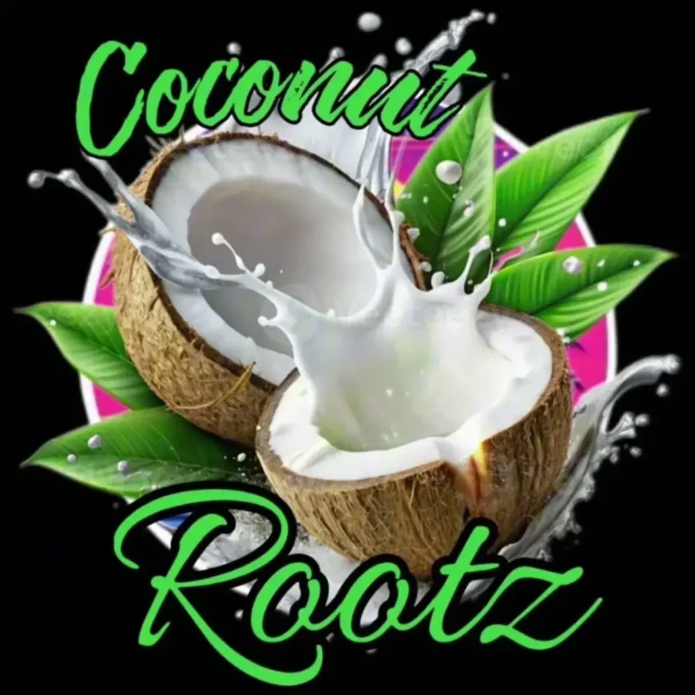 My Everything mp3 by Coconut Rootz