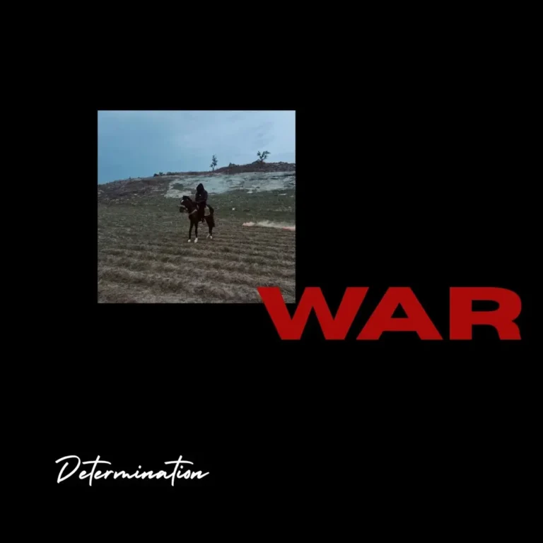 WAR mp3 by Determination