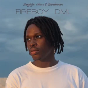 Fireboy DML – What If I Say Artwork