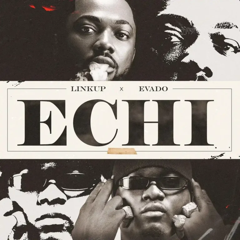 Echi mp3 by Linkup feat. Evado
