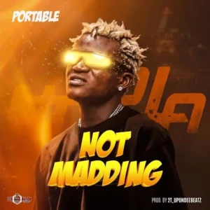 Portable – Not Madding Artwork